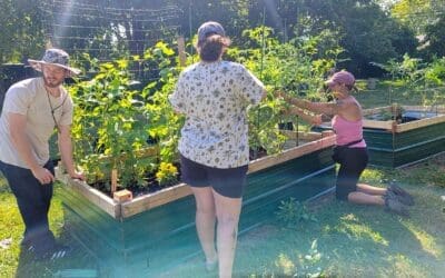 Finally, a Break from the Heat: This Week at the Community Garden
