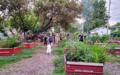 14th Annual Harvest Potluck: Fourteen Years of Growing Together