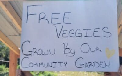 Another Perfect Sunday at South Warren Community Garden