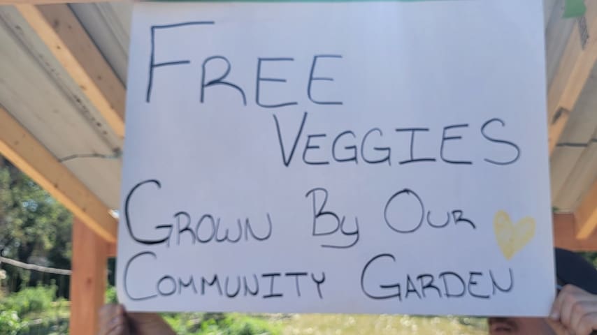 Another Perfect Sunday at South Warren Community Garden