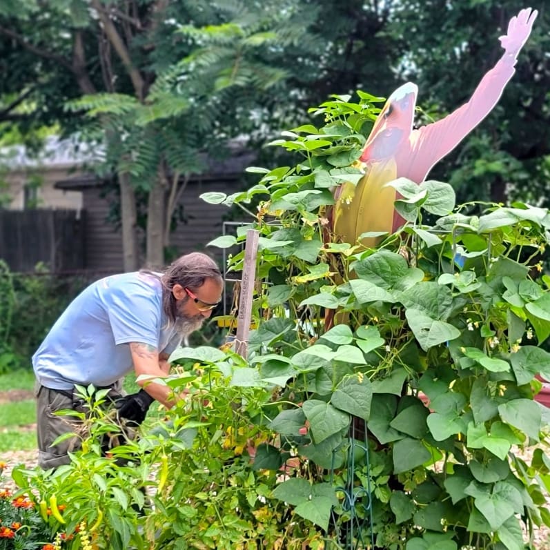 Sponsor Bed - SB02 - Image 3