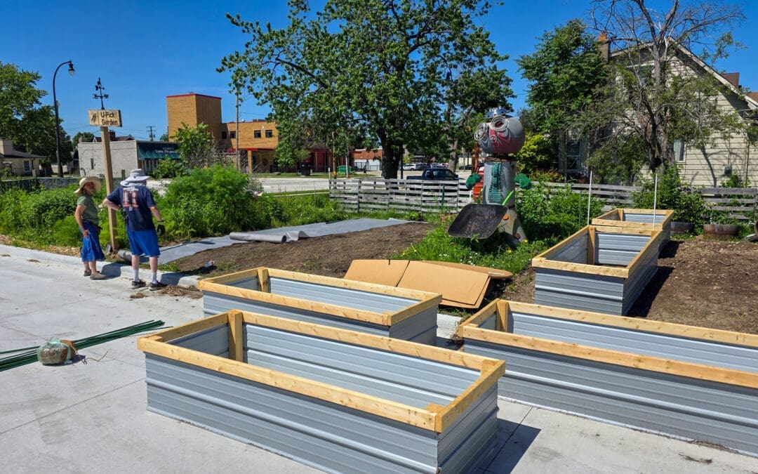 New Raised Beds and a Pepper Donation Three Years in the Making